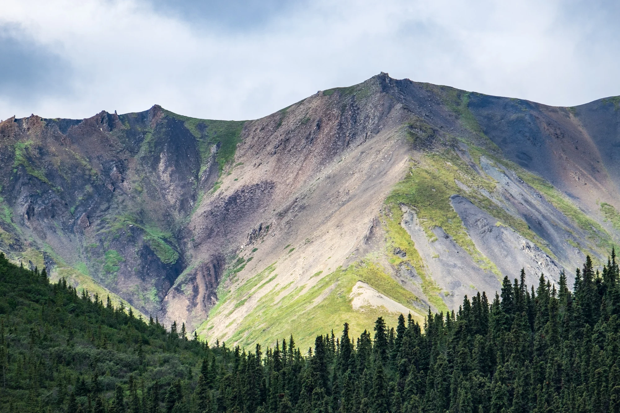 Denali National Park — The Greatest American Road Trip